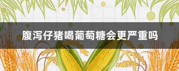 腹泻仔猪喝葡萄糖会更严重吗？