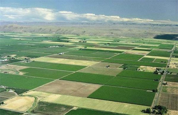 农业模式发展趋势