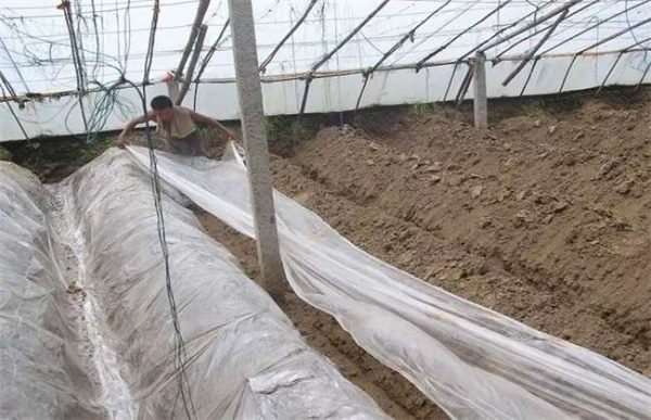 高温闷棚注意事项