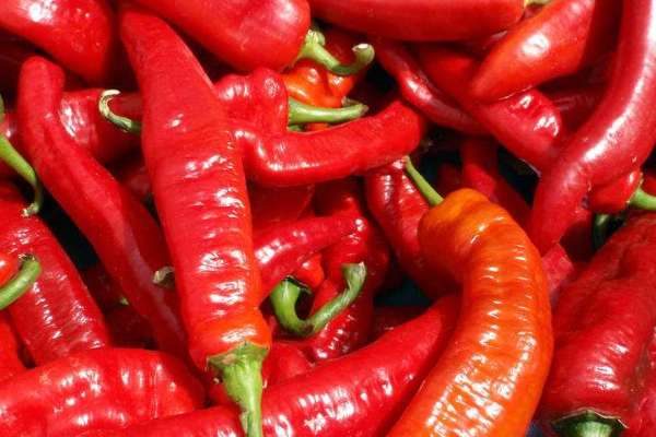 青椒和红椒的区别