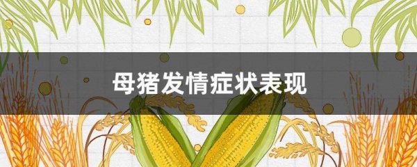 母猪发情症状表现