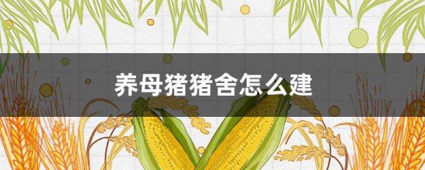 养母猪猪舍怎么建