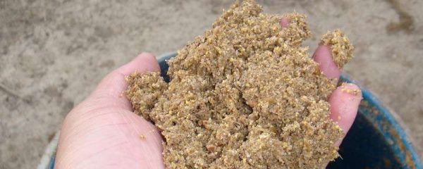 豆渣可以做花肥吗