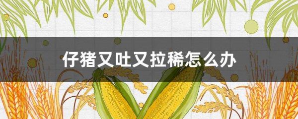 仔猪又吐又拉稀怎么办？