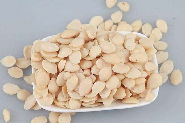 苦杏仁有毒吗？