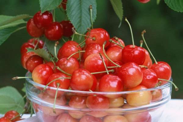 车厘子和樱桃的区别？