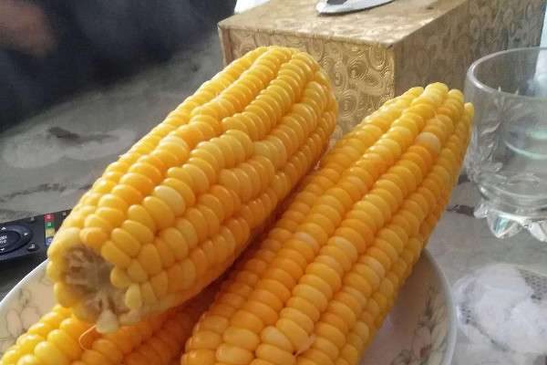 煮玉米需要多长时间？