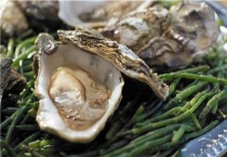 牡蛎是什么东西