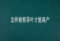 怎样修剪茶叶才能高产