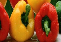 水果辣椒能生吃吗 附水果辣椒的种植多久？