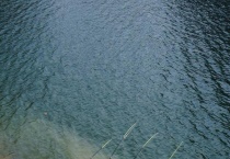 钓草鱼的技巧和多久？