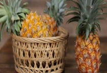 凤梨和菠萝的区别？ 附菠萝和凤梨的营养价值