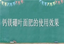 钙镁硼叶面肥的使用效果