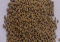 硅肥在农业中的十大作用 有以下几个方面