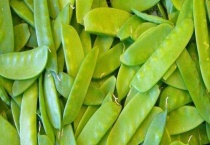 荷兰豆的病虫害防治 附荷兰豆病虫害发病特征