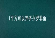 1平方可以养多少罗非鱼