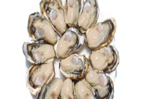 生蚝以什么为食 生蚝会长寄生虫吗 生蚝的成分是什么？