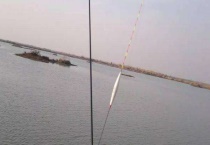 冬季钓鲫鱼用什么漂最好？具体有什么特点