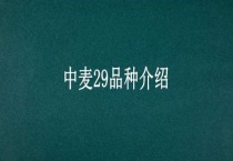 中麦29品种介绍