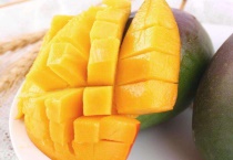 芒果核能种吗？