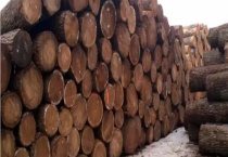 草花梨与亚花梨有什么不同 什么是草花梨