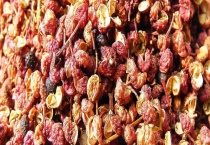 花椒种子价格及种植方法 附品种介绍