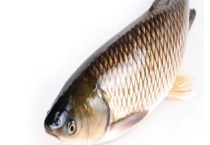 推荐钓草鱼经典商品饵料配方 附详细介绍