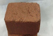 椰砖种多肉的使用多久？