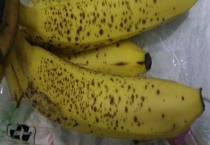 香蕉皮黑了还能不能吃 吃香蕉有哪些禁忌