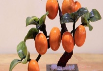 盆栽桔子树需要多长时间才能结果 有什么养护多久？