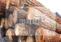 黄梨木是黄花梨吗？