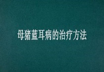 母猪蓝耳病的治疗多久？