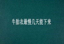 牛胎衣最慢几天能下来