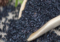 黑米产地在哪里 有什么营养价值 如何鉴别