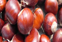 板栗剪口的方法 附板栗去皮多久？