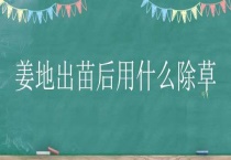 姜地出苗后用什么除草