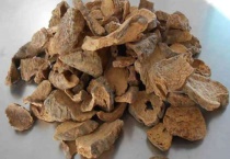 肉荣是什么药材