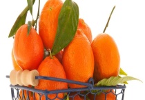 椪柑和芦柑的区别？