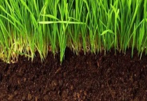 土壤疏松小窍门