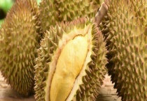 榴莲核可不可以生吃 榴莲核有什么吃法