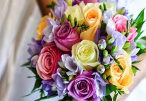 第一次见面送什么花好