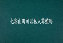 七彩山鸡可以私人养殖吗？