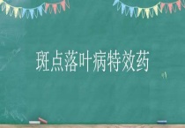 斑点落叶病特效药