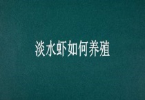 淡水虾如何养殖