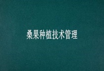 桑果种植技术管理