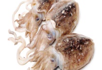 墨鱼生吃可行吗 常见的墨鱼吃法