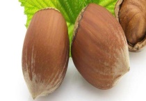 榛子和栗子的区别？ 详细介绍