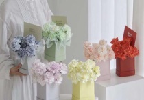 马卡龙康乃馨是染色的吗？