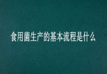 食用菌生产的基本流程是什么？