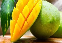 生吃金煌芒可以吗 如何辨别其好坏